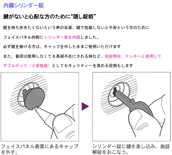 金庫 小型 家庭用 テンキー式 耐火金庫 DFS2-E(搬入設置 無料