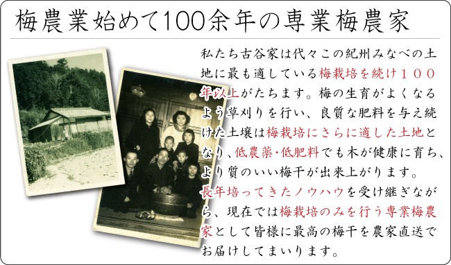 当園は、梅農家を始めて100余年の専業梅農家です。長年のノウハウと経験が当園のおいしい梅干を作ります。