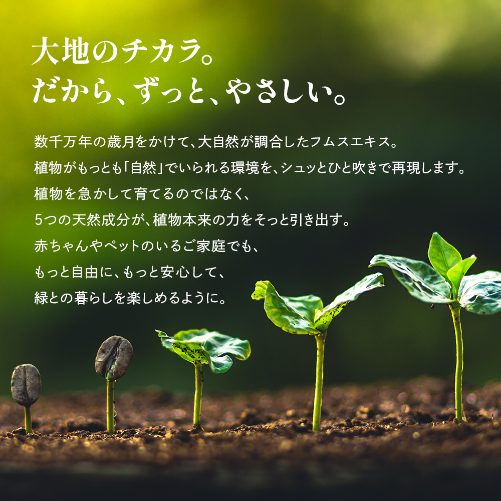 観葉植物 栄養剤 活力剤 【Kotolier 植物のサプリメント】 植物栄養剤