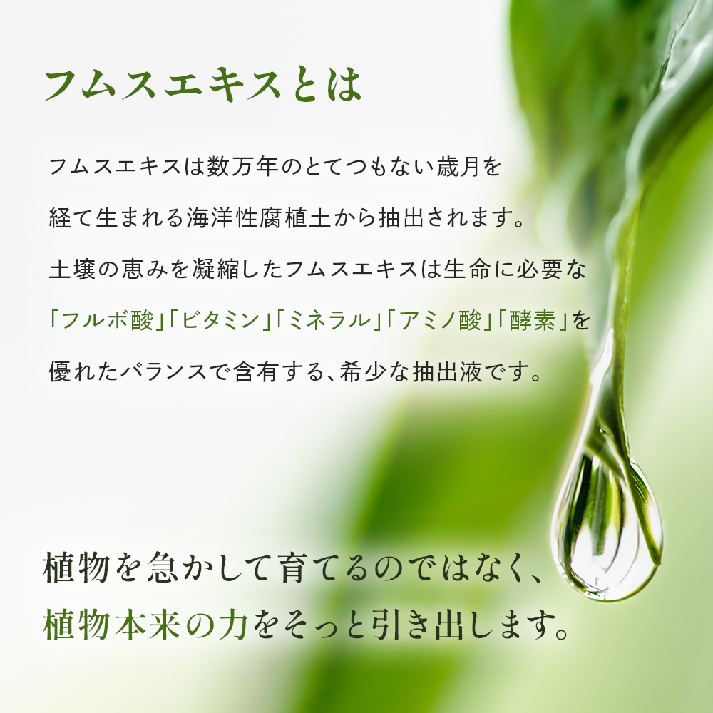 観葉植物 栄養剤 活力剤 【Kotolier 植物のサプリメント】 植物栄養剤
