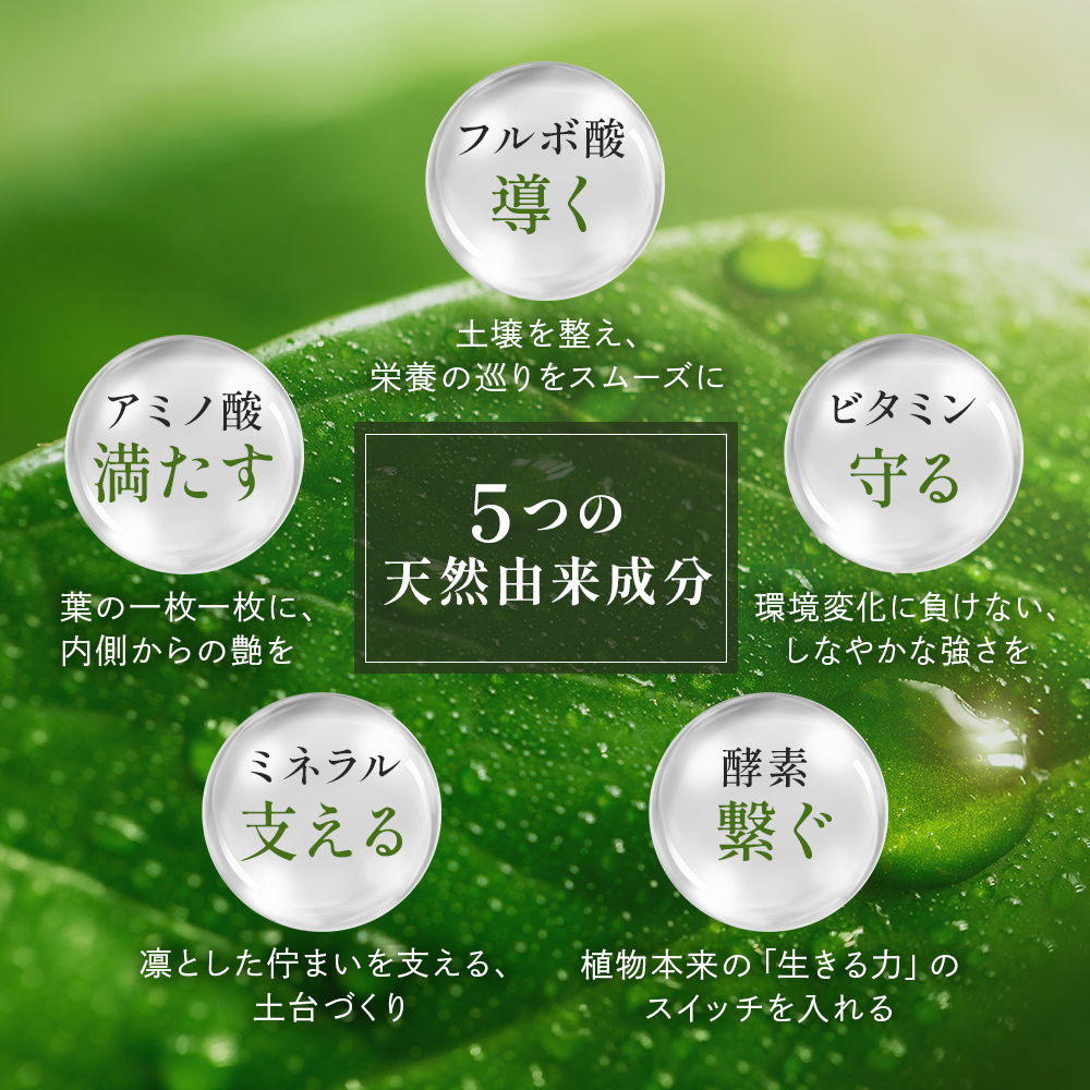 観葉植物 栄養剤 活力剤 【Kotolier 植物のサプリメント】 植物栄養剤