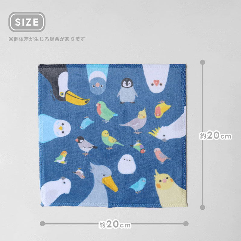 BIRDSTORY】ミニタオル simple ☆いろいろな鳥さん ◇ゆうパケット対応