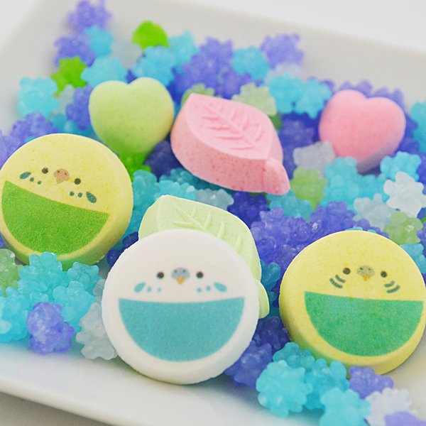 なごみシリーズ】ことり星 ☆セキセイインコ ◇◇ : ことりすまいる