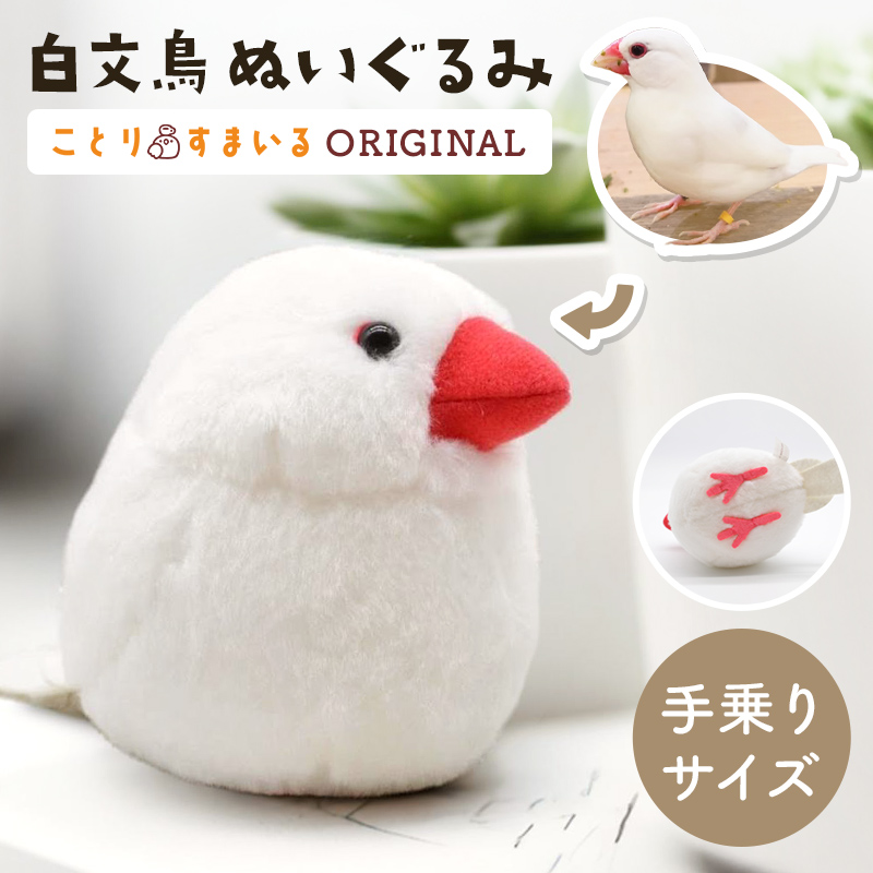 白河ことり ぬいぐるみ ことりすまいる】 白文鳥 ぬいぐるみ 1羽 《単品販売
