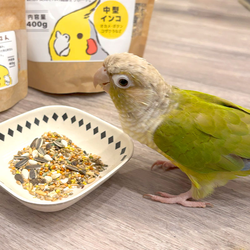 ことりすまいる】うちのこのごはん ☆中型インコ専用 《40g