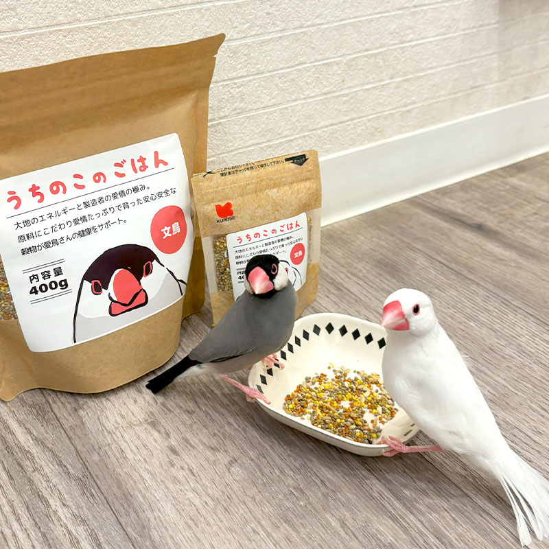 ことりすまいる】うちのこのごはん ☆文鳥専用 《400g》 ◇◇ 鳥