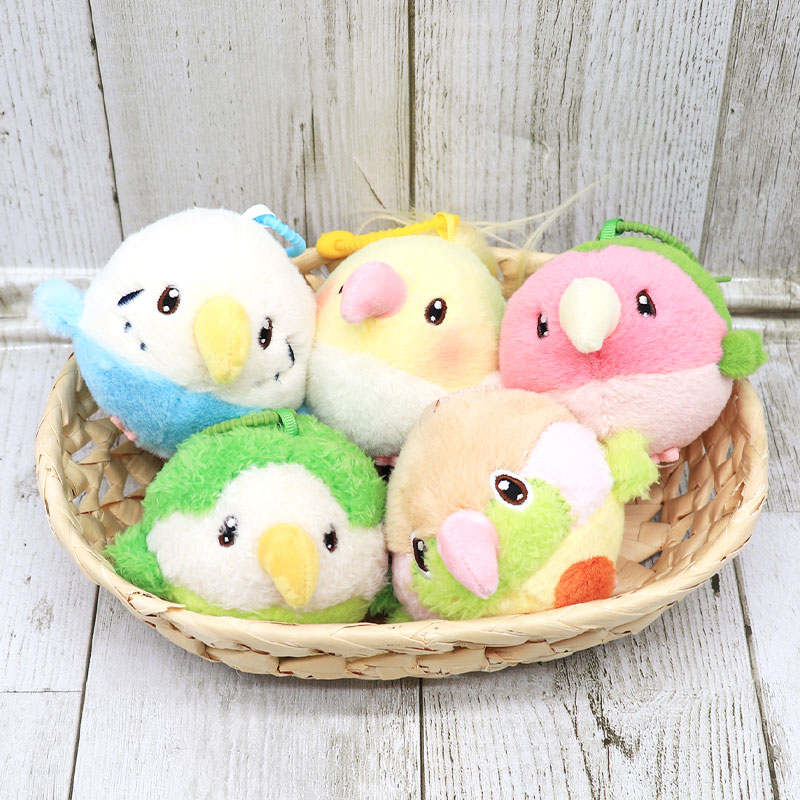 ゆとり屋】ぬいぐるみ (小) ☆ オキナインコ◇◇ : ことりすまいる