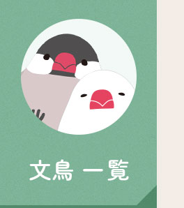 文鳥一覧