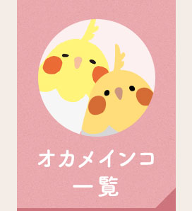 オカメインコ一覧