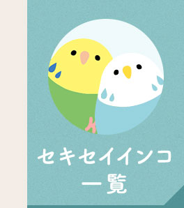 セキセイインコ一覧