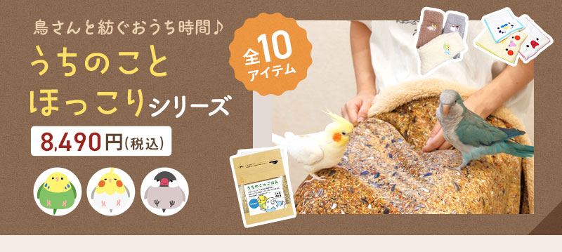 うちのことほっこりシリーズ