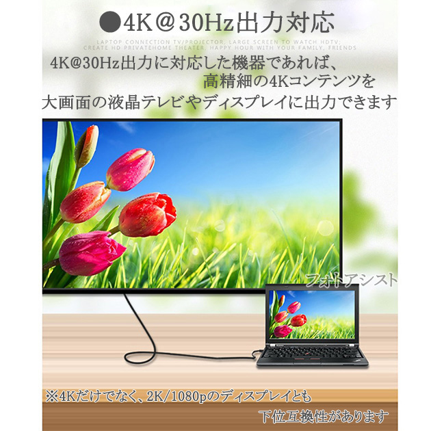 NEC 【互換品】NEC対応 DisplayPort から HDMI 変換ケーブル 3.0m 4K