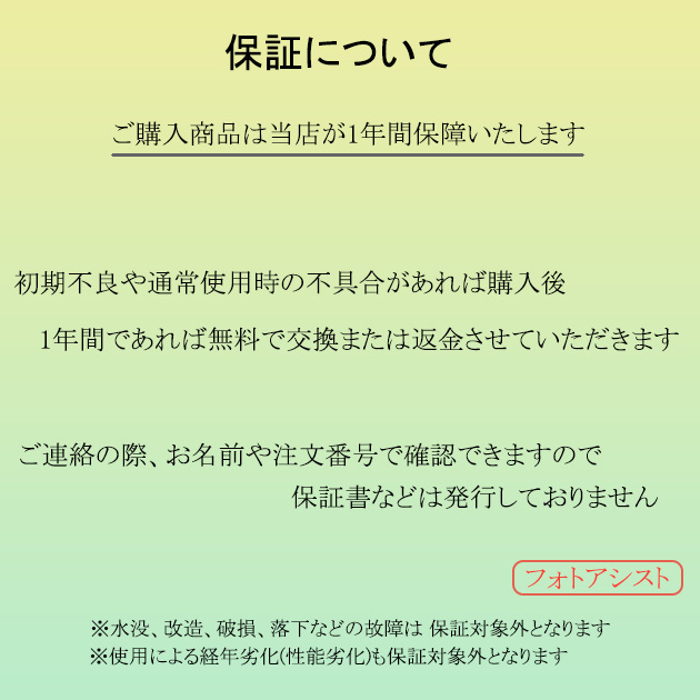 確認用 こちらは購入できません ブローライト はしごタイプ3P ミッキーマウス イルミネーション】ブローライト はしごミッキーマウス Sサイズの