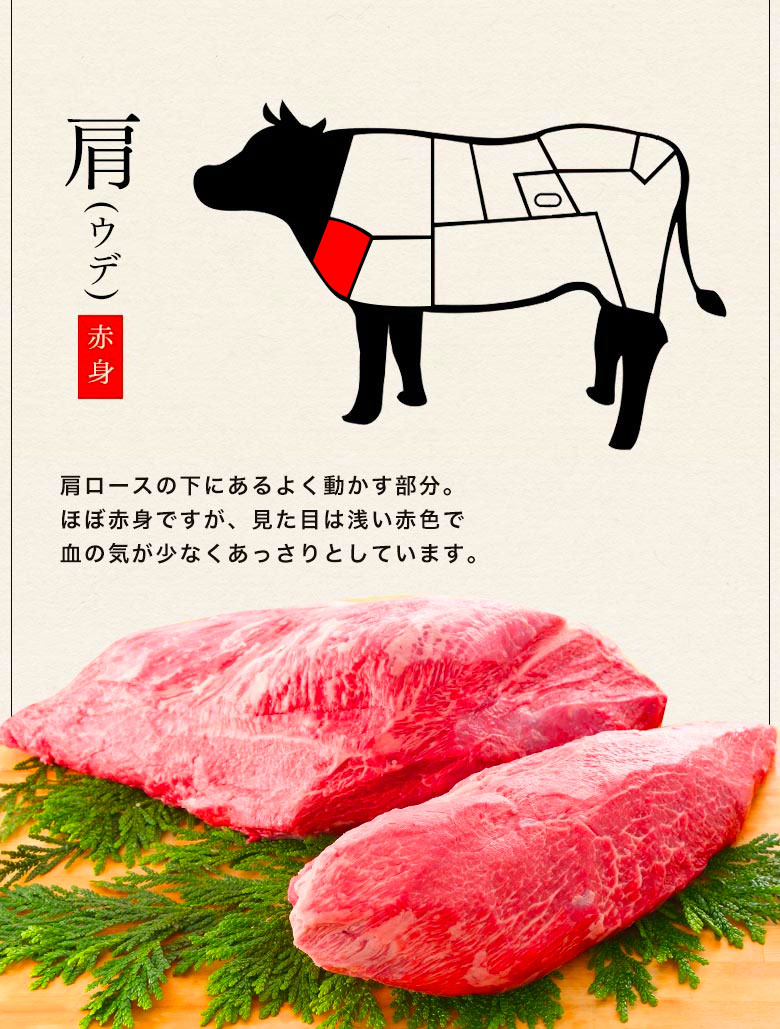 家庭用 牛肉 和牛 牛肉 和牛 神戸牛 神戸ビーフ 神戸肉 A５証明書付 A5