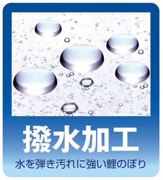 こいのぼり 庭園用 旭天竜 【2019年新作】 鯉幟 家紋・名前入可能 鯉3