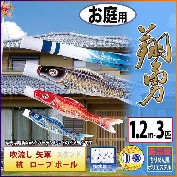 こいのぼり 庭園用 旭天竜 【2019年新作】 鯉幟 家紋・名前入