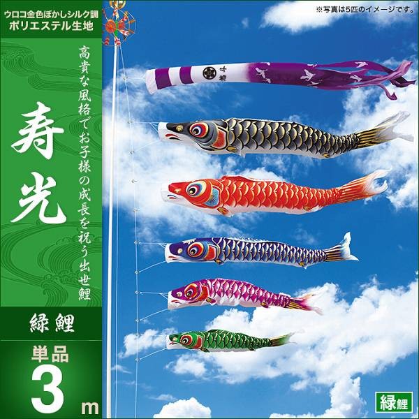 こいのぼり 庭園用 キング印 鯉幟 寿光 緑鯉3m 単品 代引き&熨斗不可