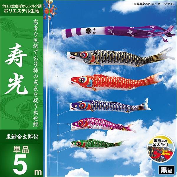 こいのぼり 庭園用 キング印 鯉幟 2019年新作 寿光 黒鯉（金太郎付）5m