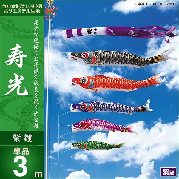 こいのぼり 庭園用 キング印 鯉幟 寿光 紫鯉3m 単品 代引き&熨斗不可