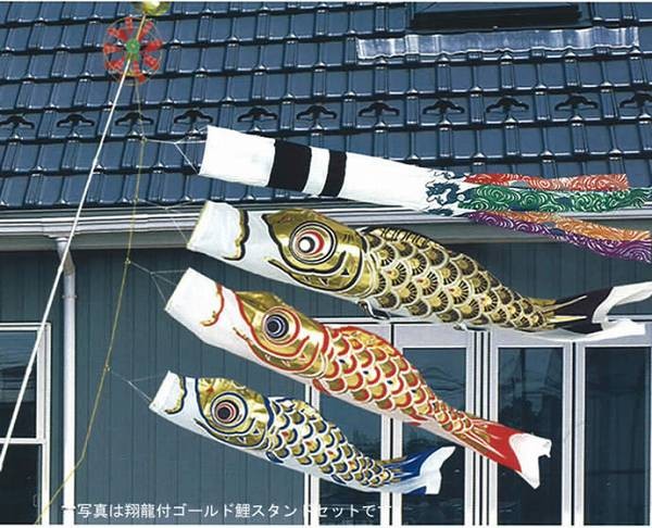 こいのぼり 庭園用 旭天竜 【2019年新作】 鯉幟 家紋・名前入可能 鯉3