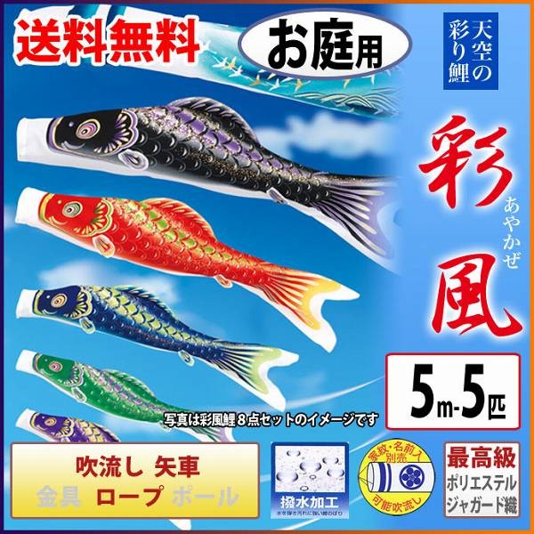 こいのぼり 庭園用 旭天竜 【2019年新作】 鯉幟 家紋・名前入可能