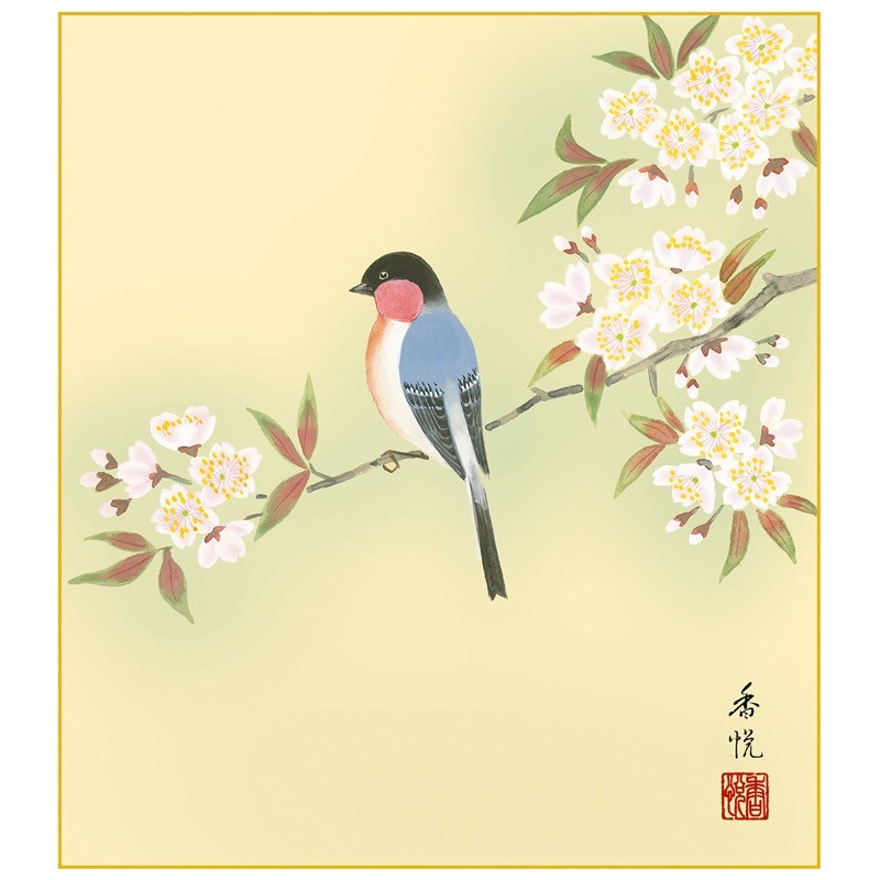 花鳥山水画 手彩特色工芸色紙 四季セットシリーズ 花鳥四趣 桜に瑠璃鳥