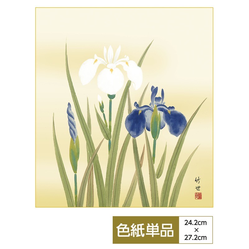 花鳥画 色紙 四季淡花 菖蒲 田村竹世 高精細特色色紙 : 人形広場