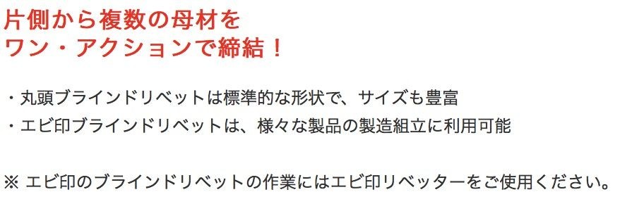 売上実績NO.1売上実績NO.1エビ ブラインドリベット(1000本入