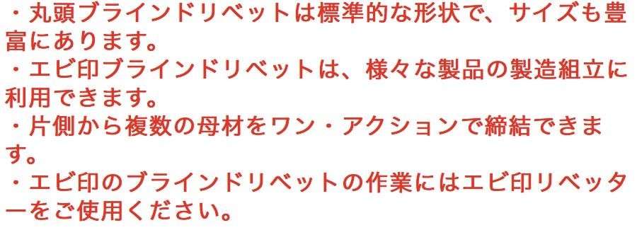 エビ ブラインドリベット 100本入 ステンレス／スティール 4-3