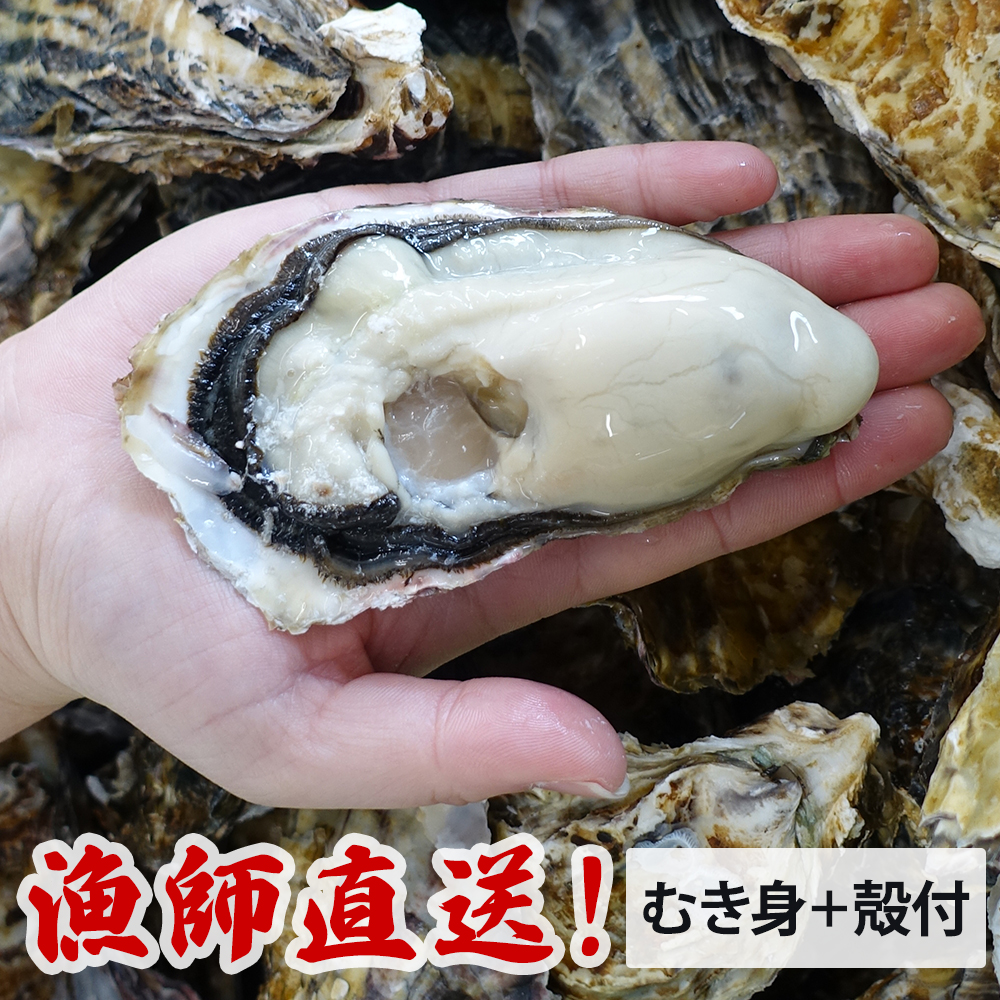 ストアー 特価 牡蠣 殻付き むき身 生牡蠣 特大 加熱用 3kg 2kg 1kg 500g 室津 直送 朝取れ かき カキ kentaro.sakura.ne.jp kentaro.sakura.ne.jp