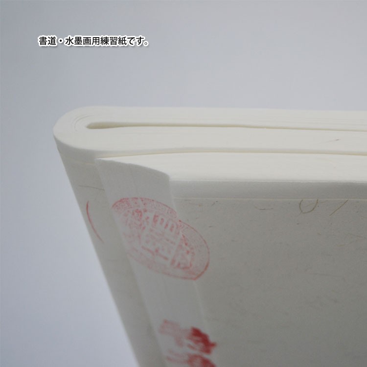水墨画 / 書道 墨彩画 習字 日本画 水墨画用 書道用 写経用 紙 中国