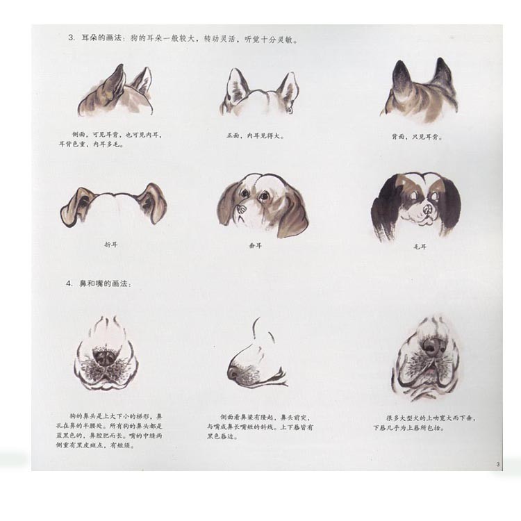劉継卣 犬の水墨画 掛軸 伝統的なアート 酒泉 劉継卣絵画経典 中国水墨画画集 中国絵画/酒泉 刘继卣绘画