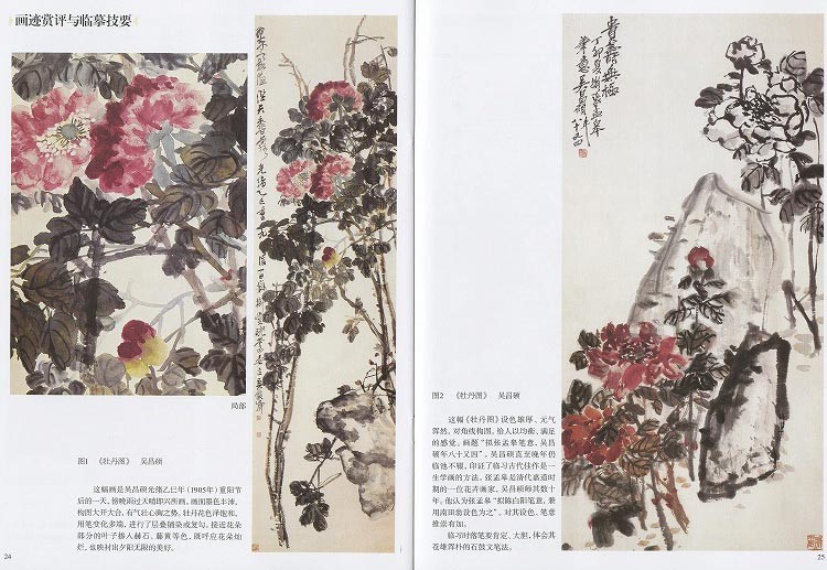 mjy-0121_5.jpg