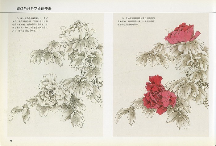 水墨画 / 水墨画集 中国画集 墨彩画 絵手紙 日本画 [工筆巻 牡丹作品
