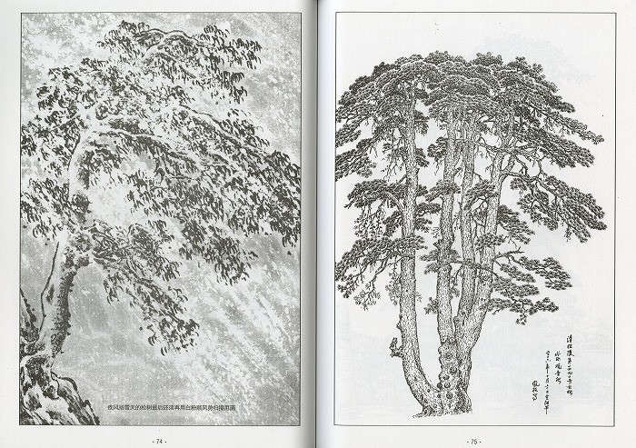 水墨画 / 水墨画集 中国画集 墨彩画 絵手紙 日本画 山水 [中国画伝統