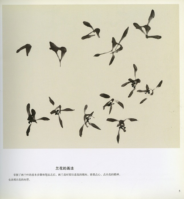 水墨画 / 水墨画集 中国画集 墨彩画 絵手紙 日本画 水墨画画集 [王蘭若