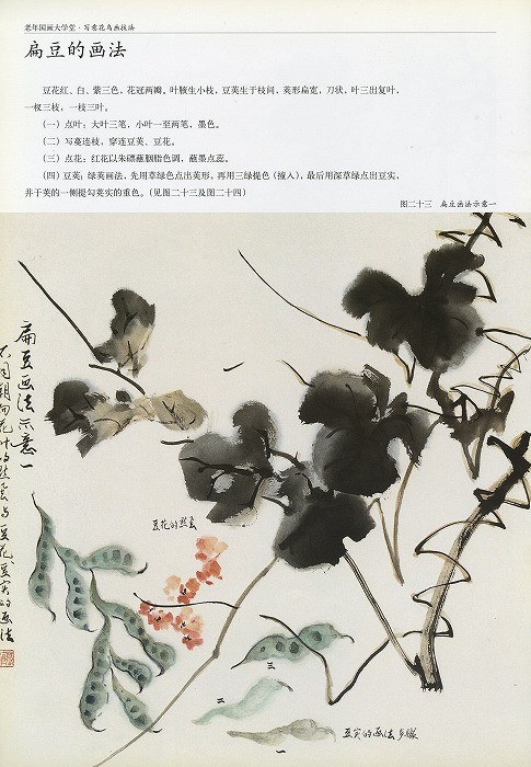 水墨画 / 水墨画集 中国画集 墨彩画 絵手紙 日本画 [老年国画大学堂