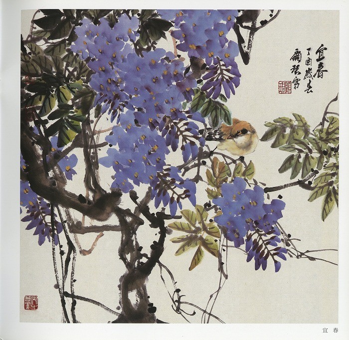中国の花鳥画 「開到紫藤芳事盡」水墨画 肉筆画真跡保証あります