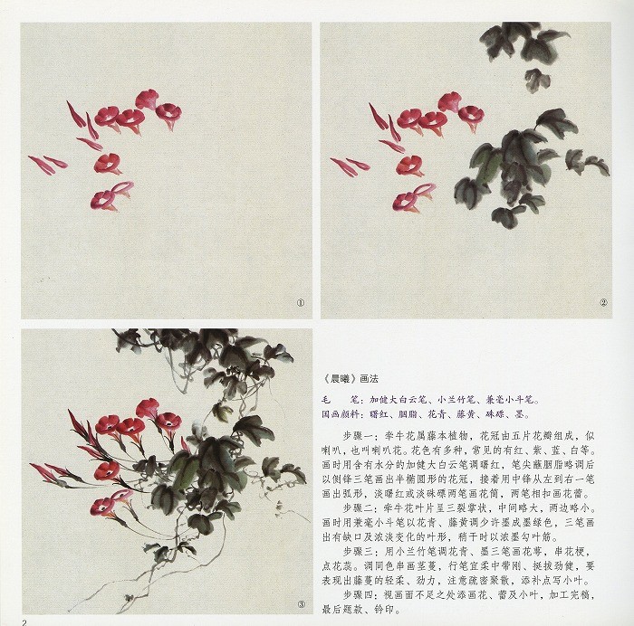 中国手絵畫 花 楽天市場】水墨画 / 水墨画集 / 中国画集 / 墨彩画 / 絵手紙