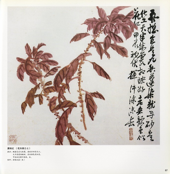 呉昌碩　花卉冊　中国書画　古董 水墨画 / 水墨画集 中国画集 墨彩画 絵手紙 日本画 [呉昌碩] : 黄河