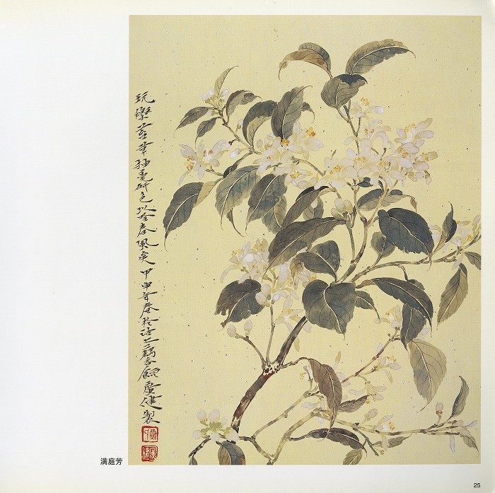 水墨画 / 水墨画集 中国画集 墨彩画 絵手紙 日本画 [没骨蔬果花卉画法