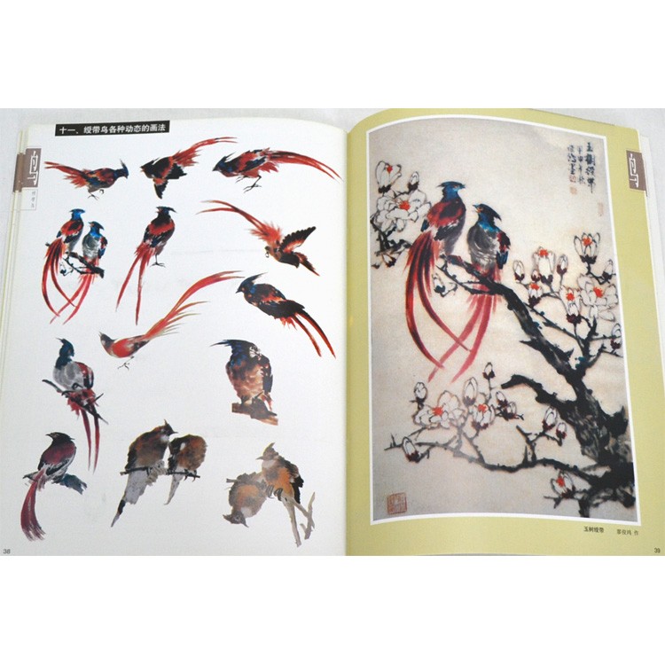 水墨画 / 水墨画集 中国画集 墨彩画 絵手紙 日本画 [千姿百態画