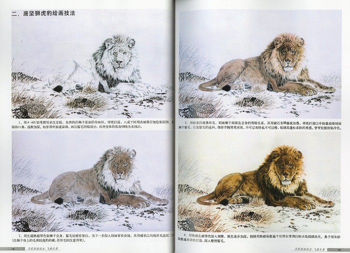 水墨画 / 水墨画集 中国画集 墨彩画 絵手紙 日本画 参考本[名画国画