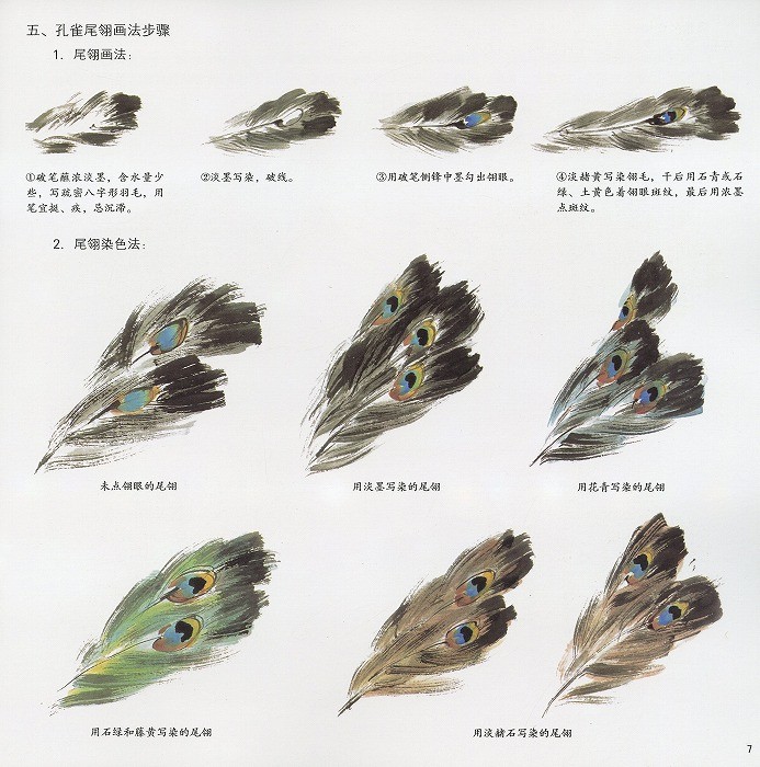 sh0037_4.jpg
