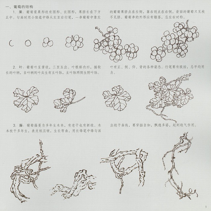sh0041_2.jpg