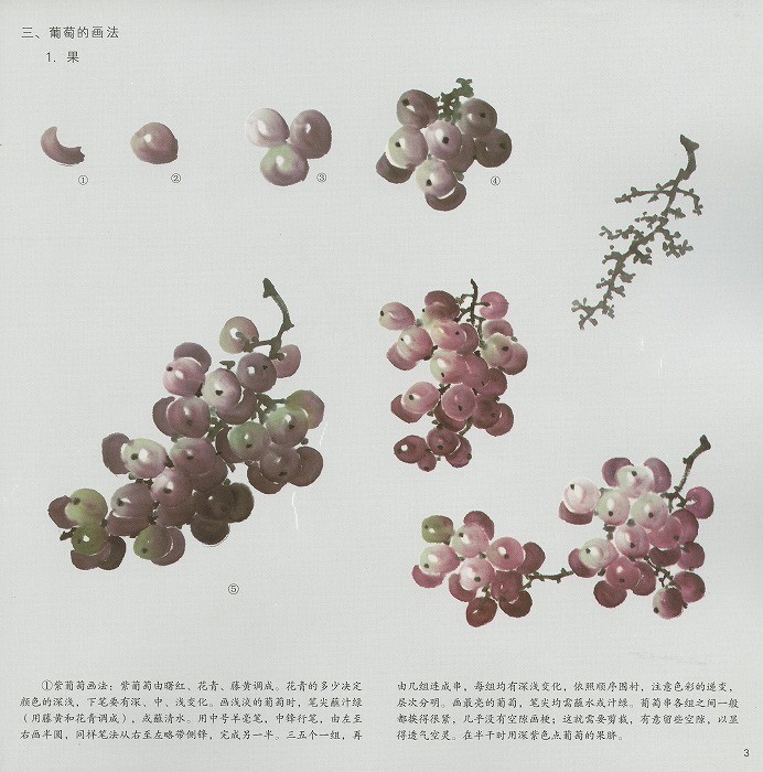 絵画 蘇葆楨 墨葡萄 水墨画 額装 中国美術 骨董品 美術品 絵画 蘇葆楨 墨葡萄 水墨画 額装 中国美術 骨董品 美術品