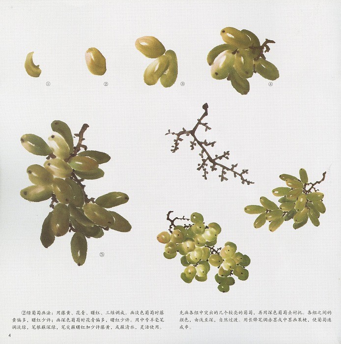 水墨画 / 水墨画集 中国画集 墨彩画 絵手紙 日本画 /[葡萄] : 黄河文化
