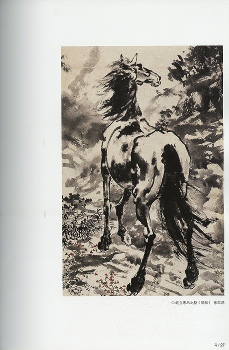 水墨画 / 水墨画集 中国画集 墨彩画 絵手紙 日本画 参考本[中国