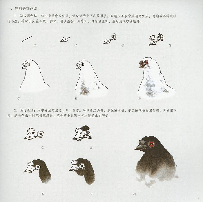 sh0075_2.jpg