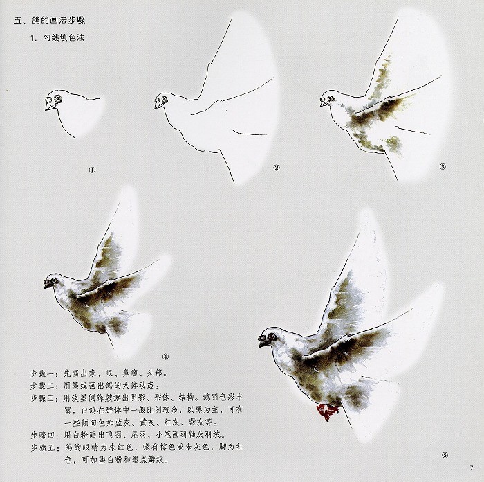 sh0075_3.jpg
